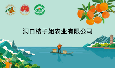 洞口桔子姐农业有限公司