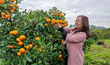 洞口县凤溪农业生态科技有限公司